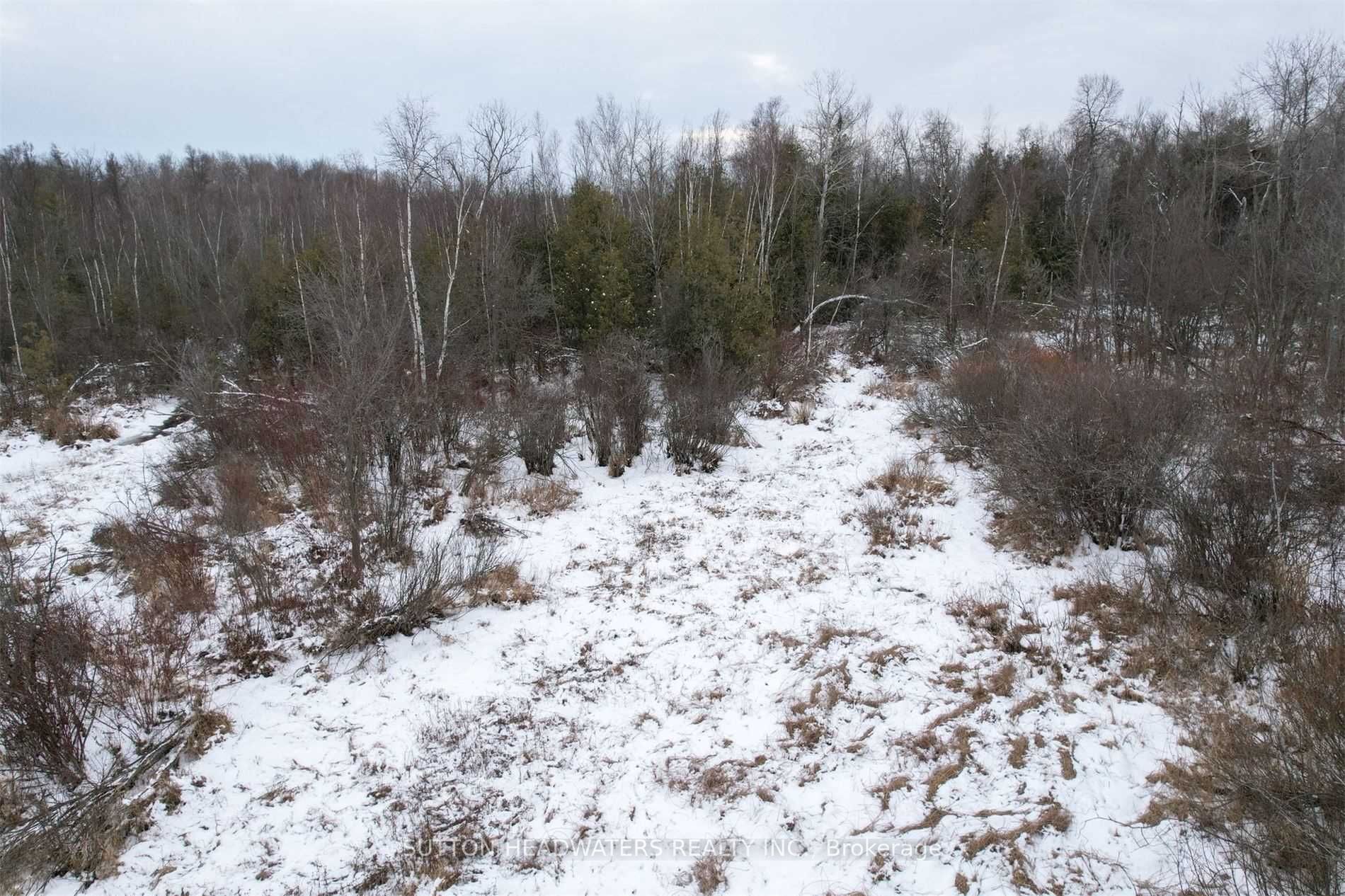 Listing W5859281 - Large Photo # 14