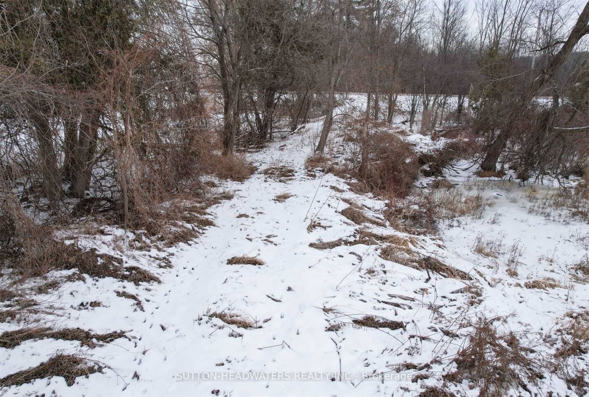 Listing W5859281 - Large Photo # 15
