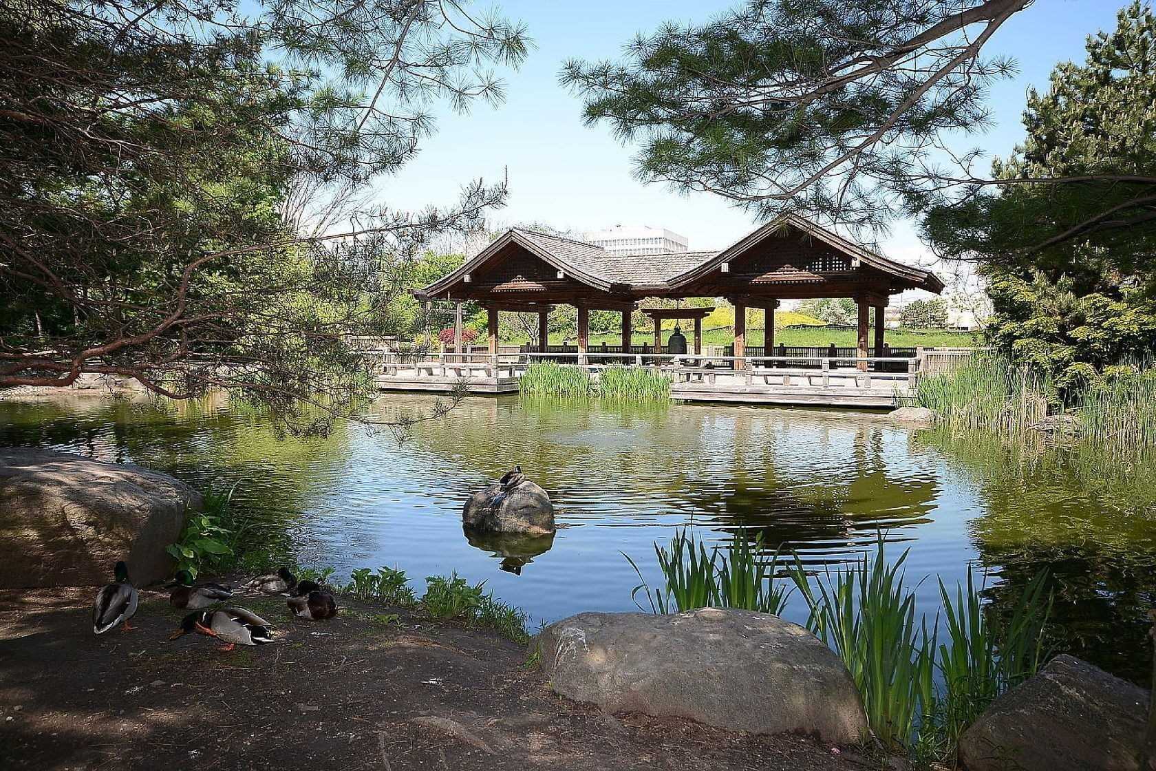 Listing W5859383 - Large Photo # 31