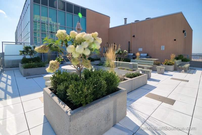 2 Fieldway Road #316