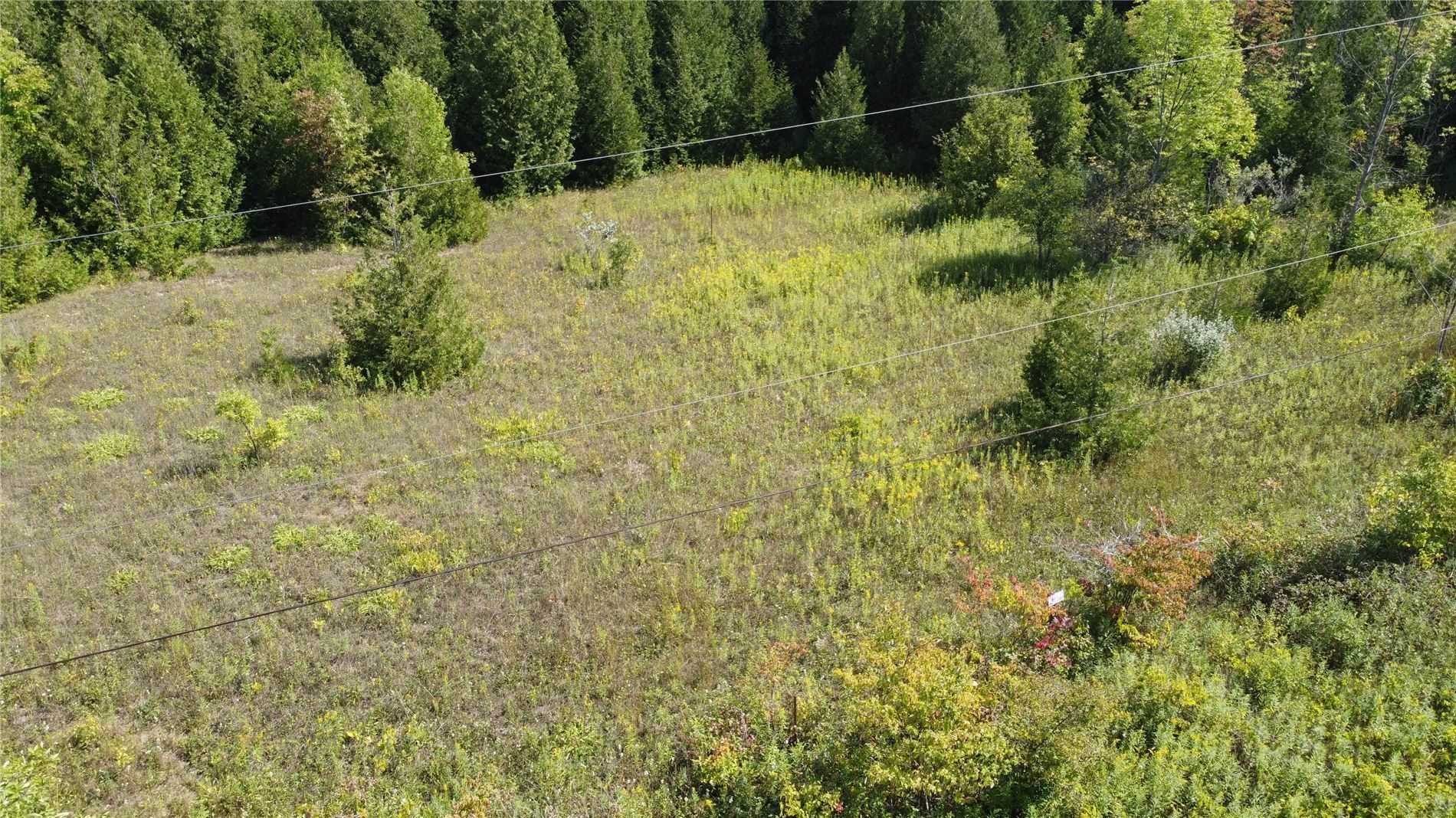 Listing W5865023 - Large Photo # 3