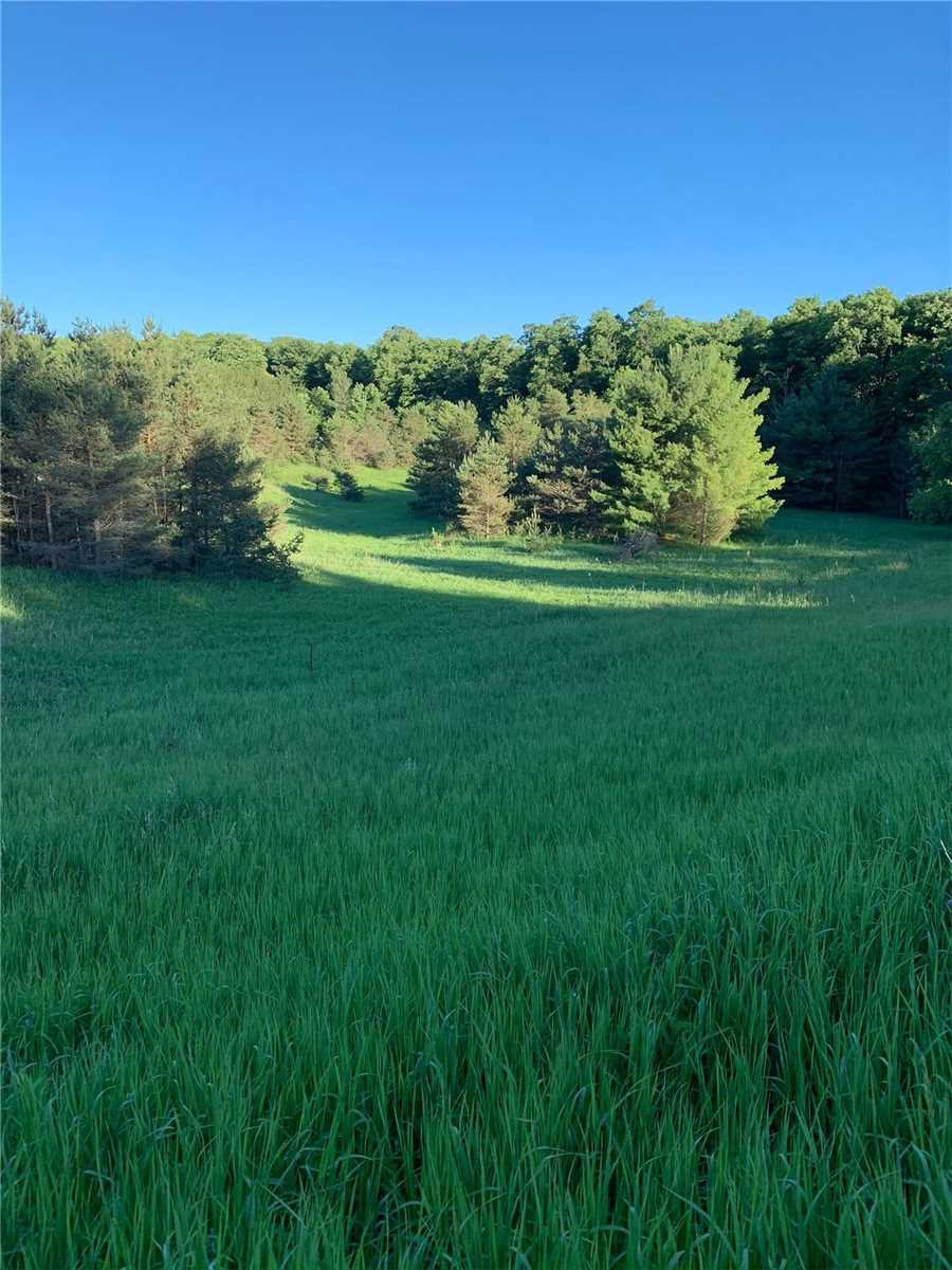 Lot 29 Con. 8, Highway 9