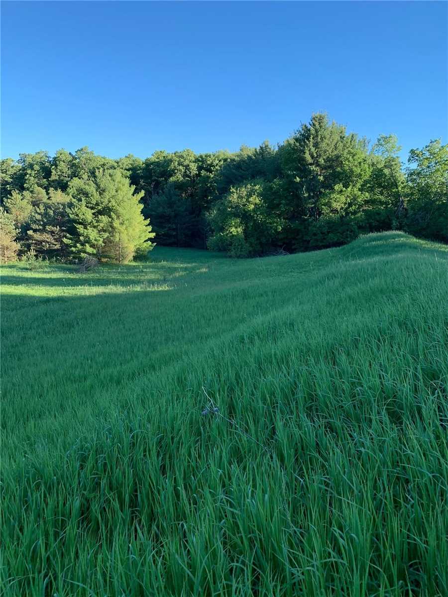 Lot 29 Con. 8, Highway 9