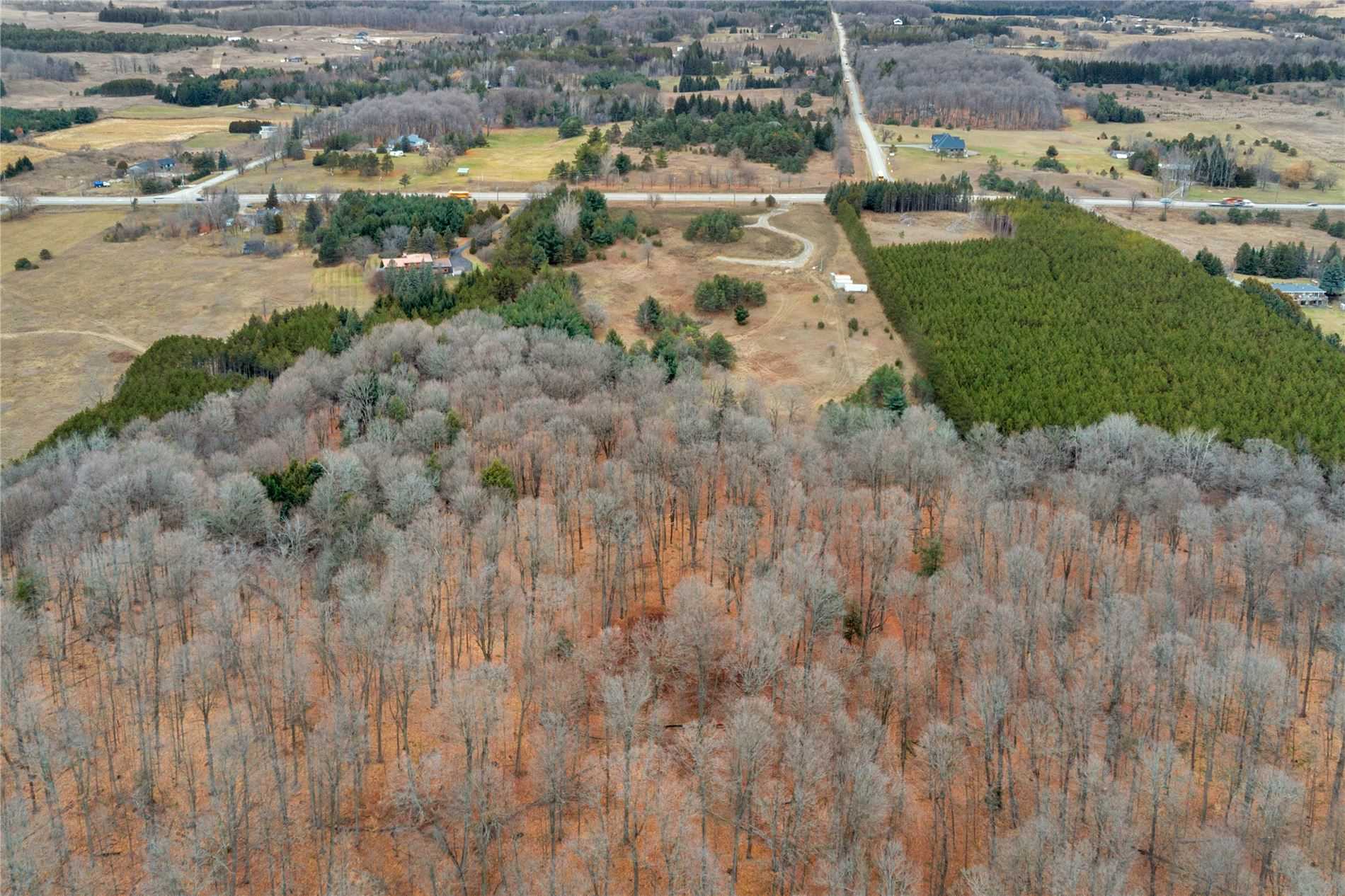 Lot 29 Con. 8, Highway 9