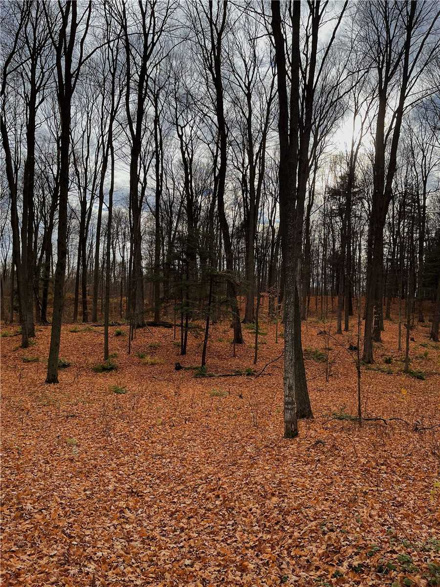 Lot 29 Con. 8, Highway 9