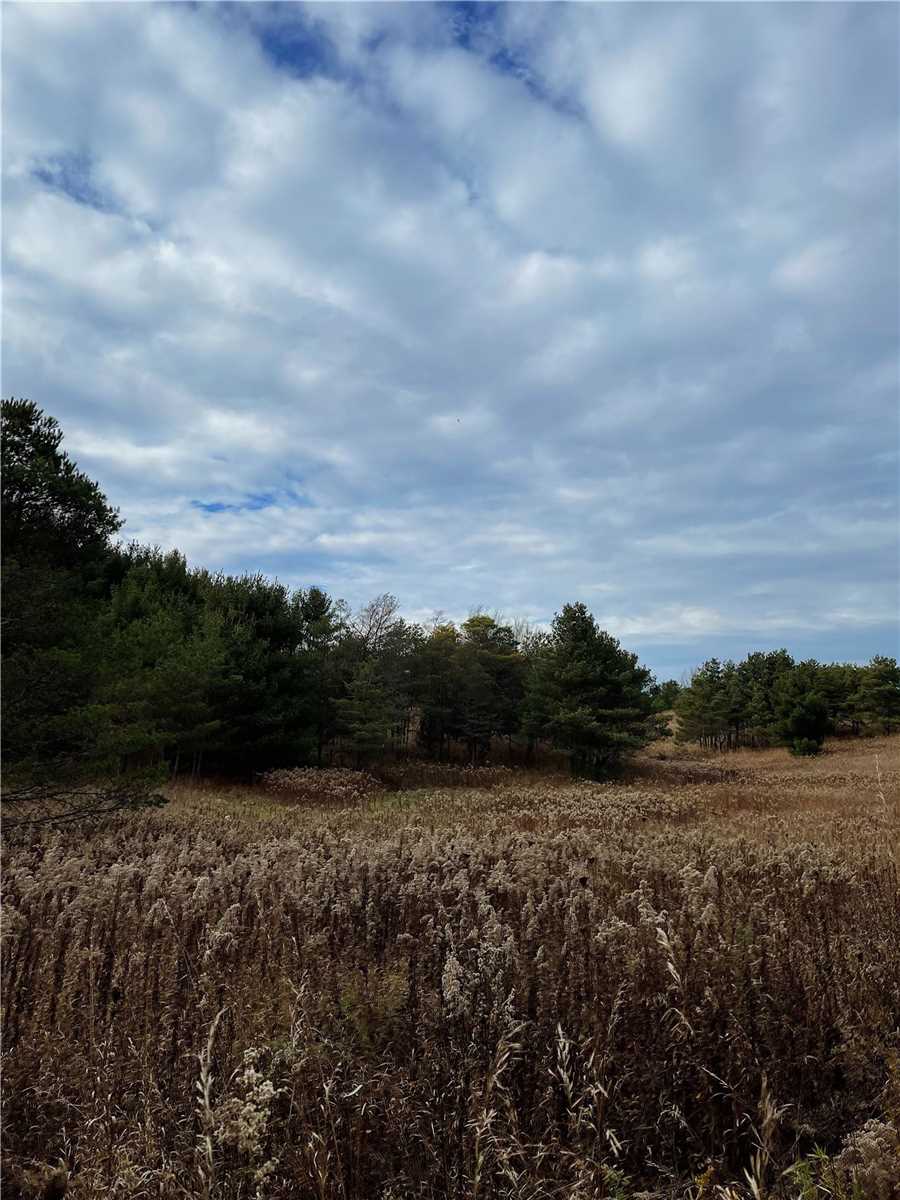 Lot 29 Con. 8, Highway 9