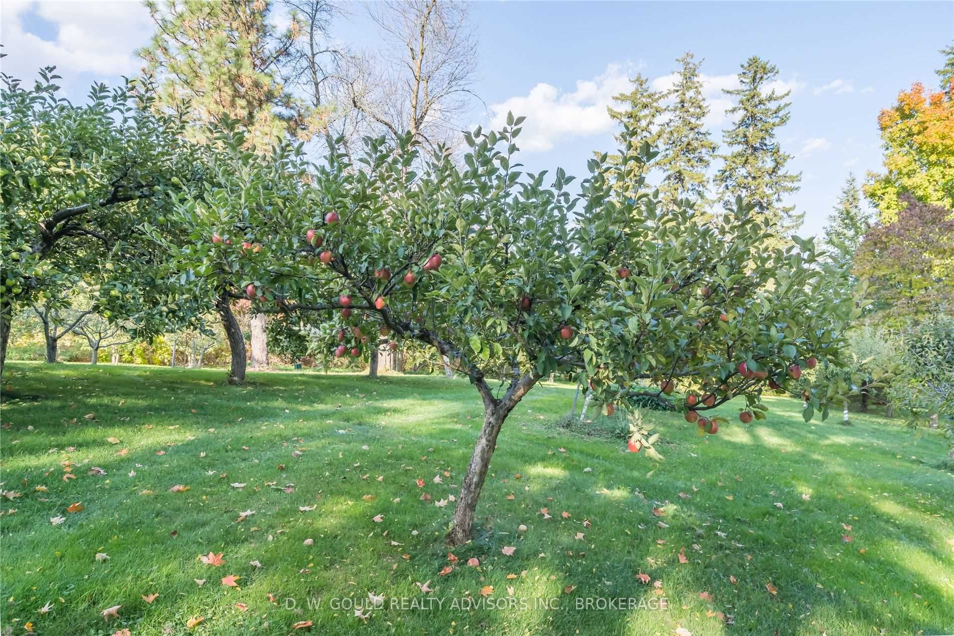 Listing W5866514 - Large Photo # 32