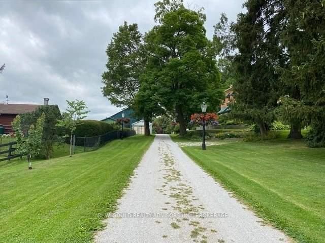 Listing W5866619 - Large Photo # 16