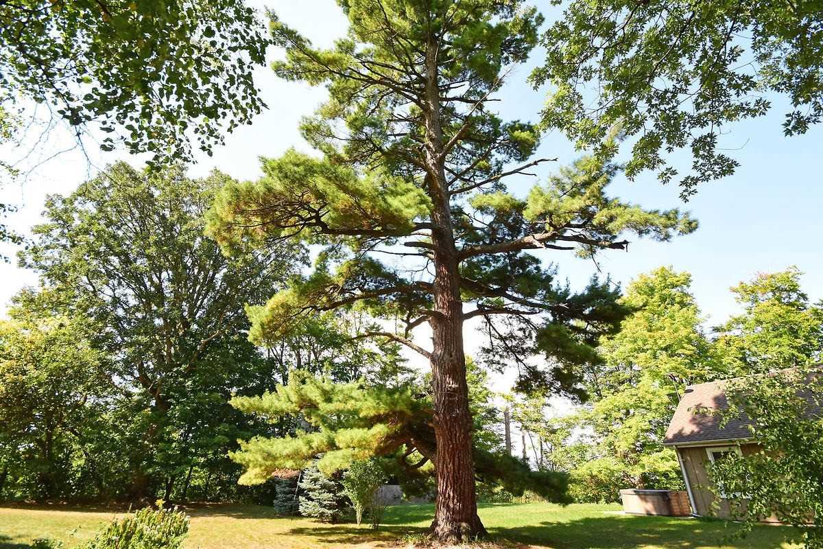 Listing W5866883 - Large Photo # 21