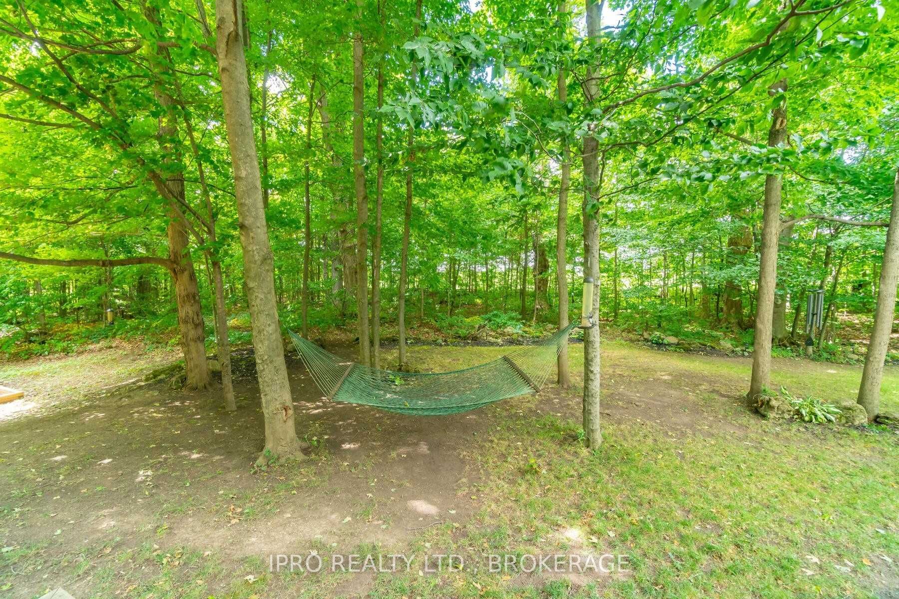 Listing W5872714 - Large Photo # 34