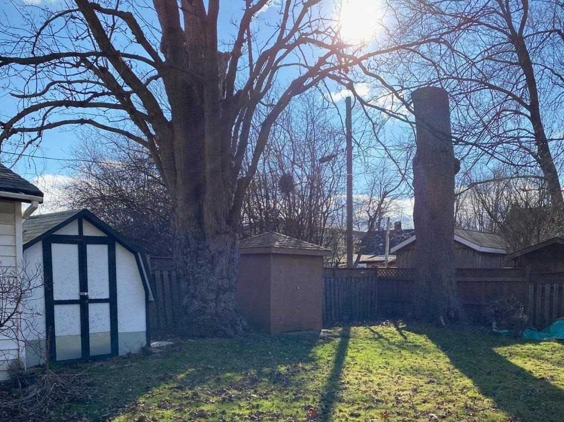 23 Pleasantview Avenue