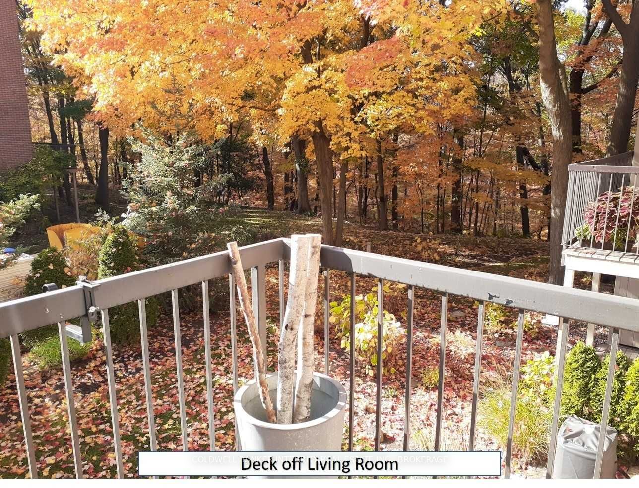 Listing W5882857 - Large Photo # 15