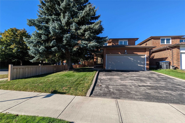 188 Harold St, Brampton