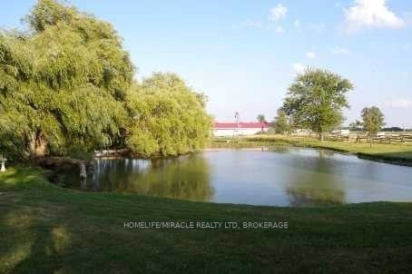 Listing W5885844 - Large Photo # 6