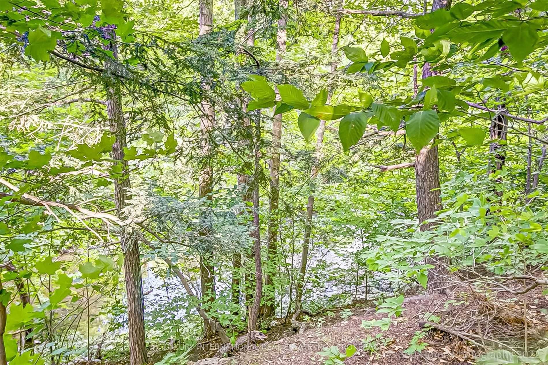 Listing W5886094 - Large Photo # 3
