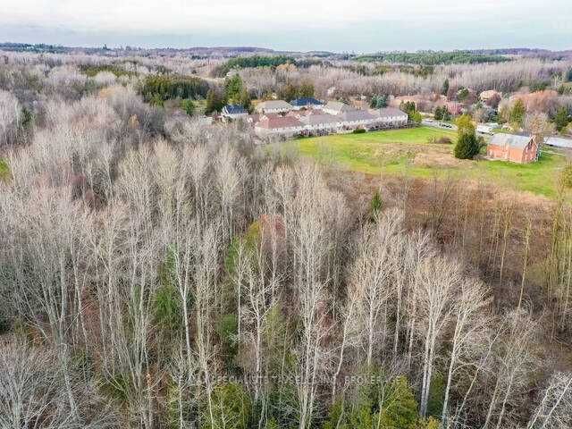 Listing W5890591 - Large Photo # 7