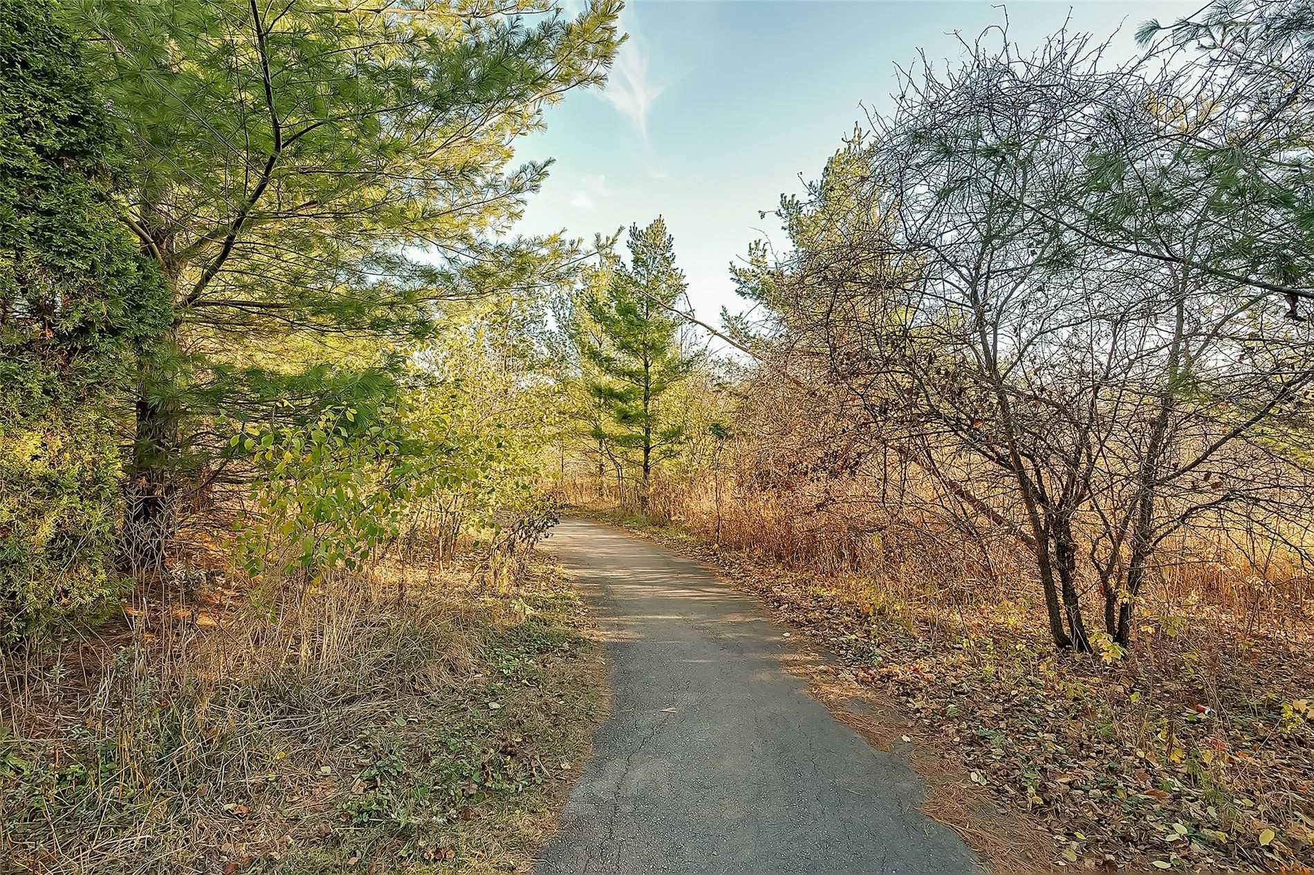 Listing W5891235 - Large Photo # 29