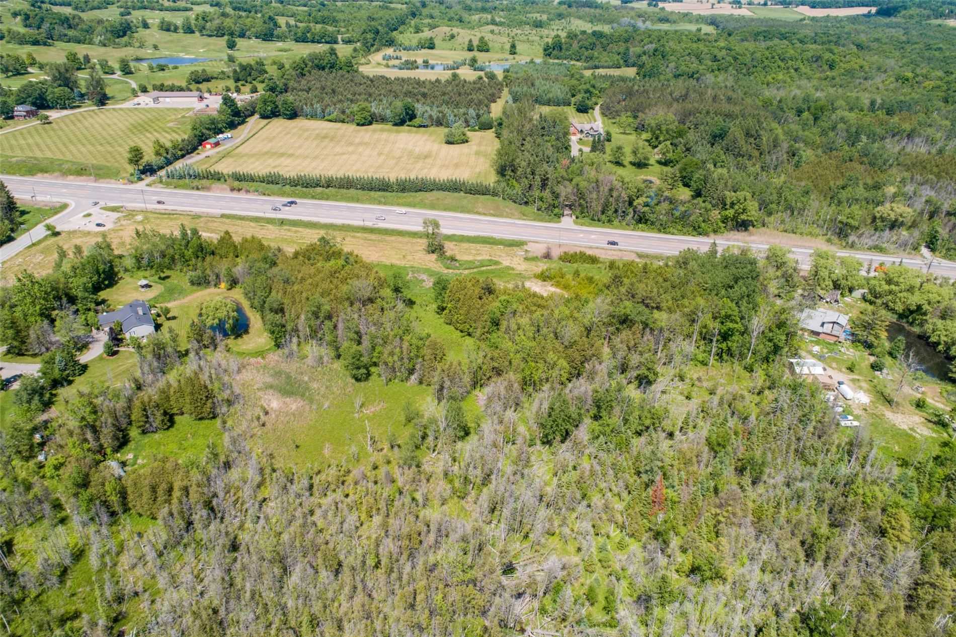 Listing W5899393 - Large Photo # 10
