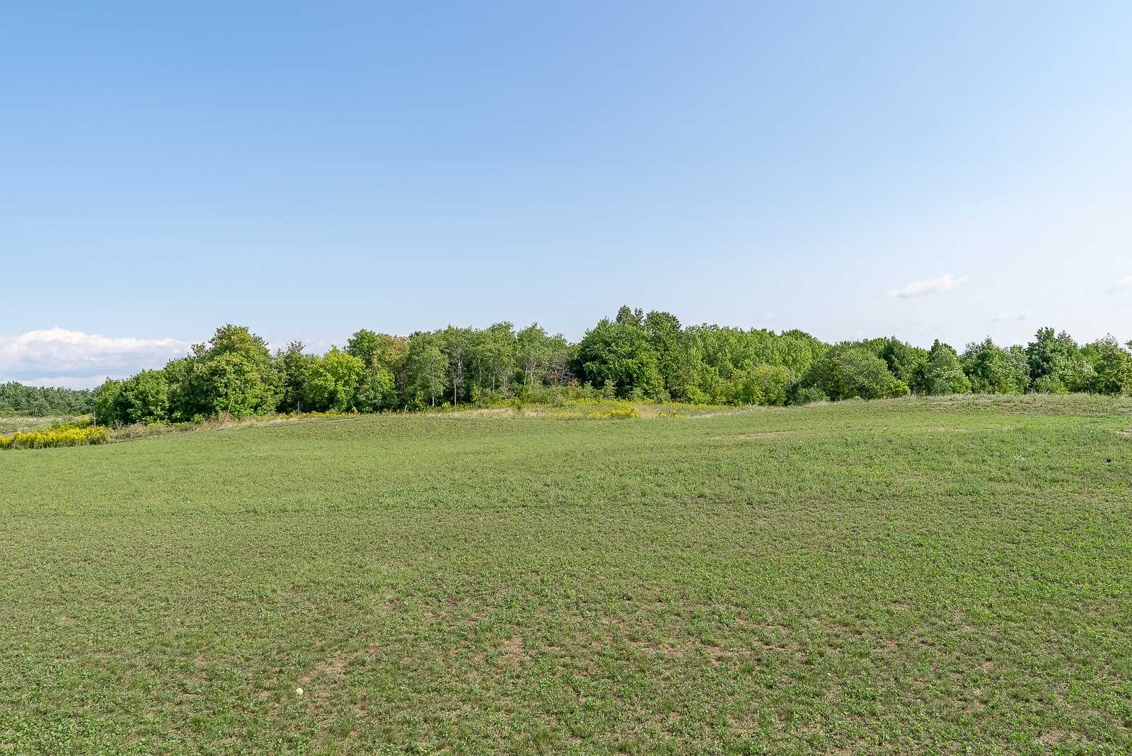 Listing W5900627 - Large Photo # 23