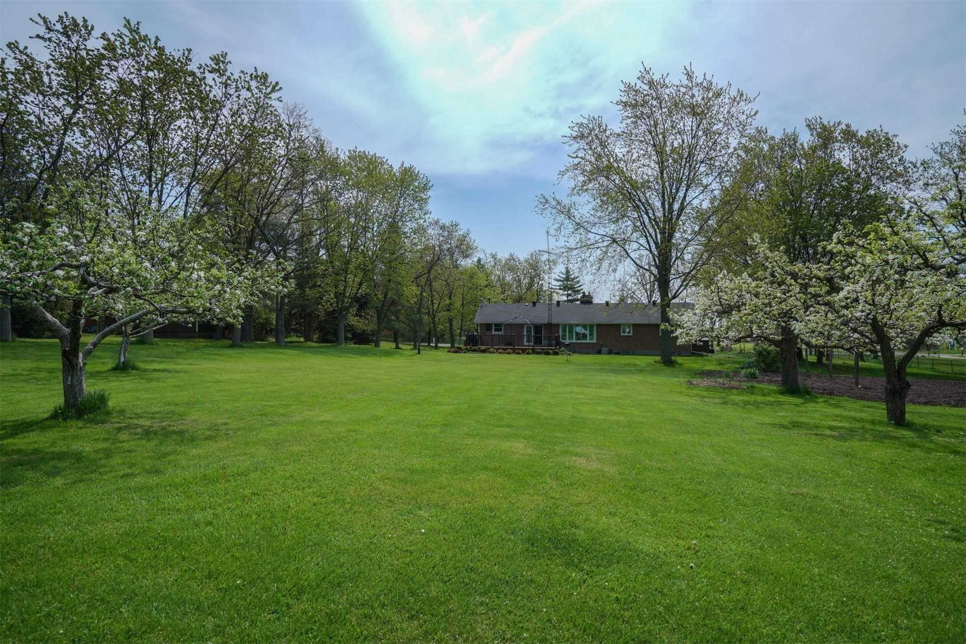 Listing W5903791 - Large Photo # 5