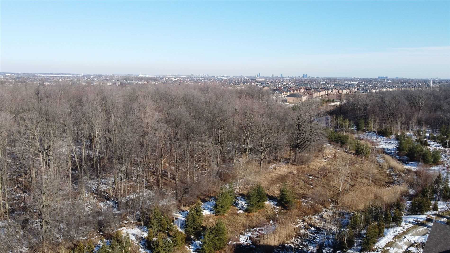 Listing W5908653 - Large Photo # 29