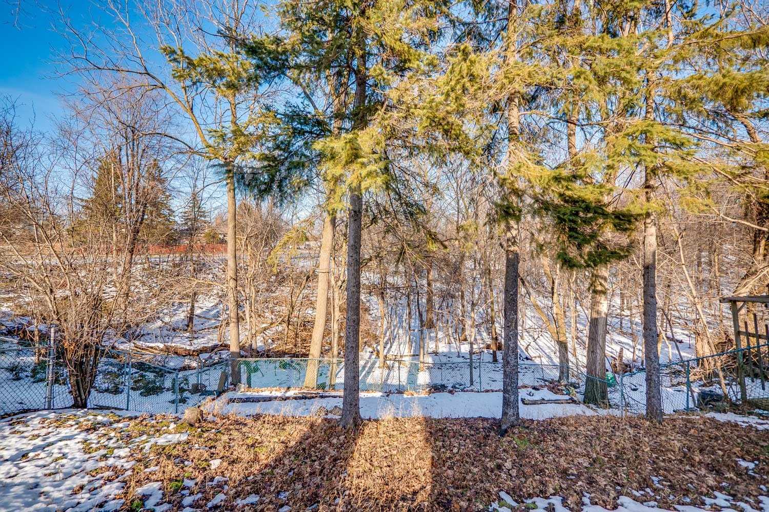 Listing W5909619 - Large Photo # 28