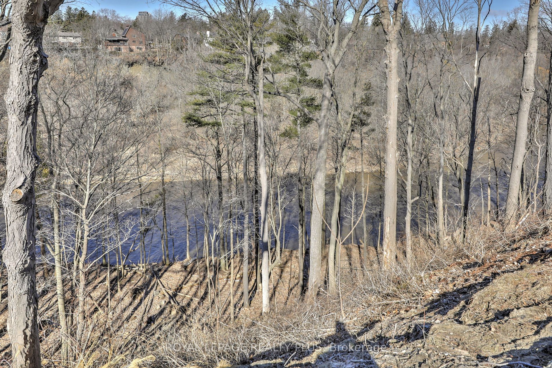 Listing W5909712 - Large Photo # 3