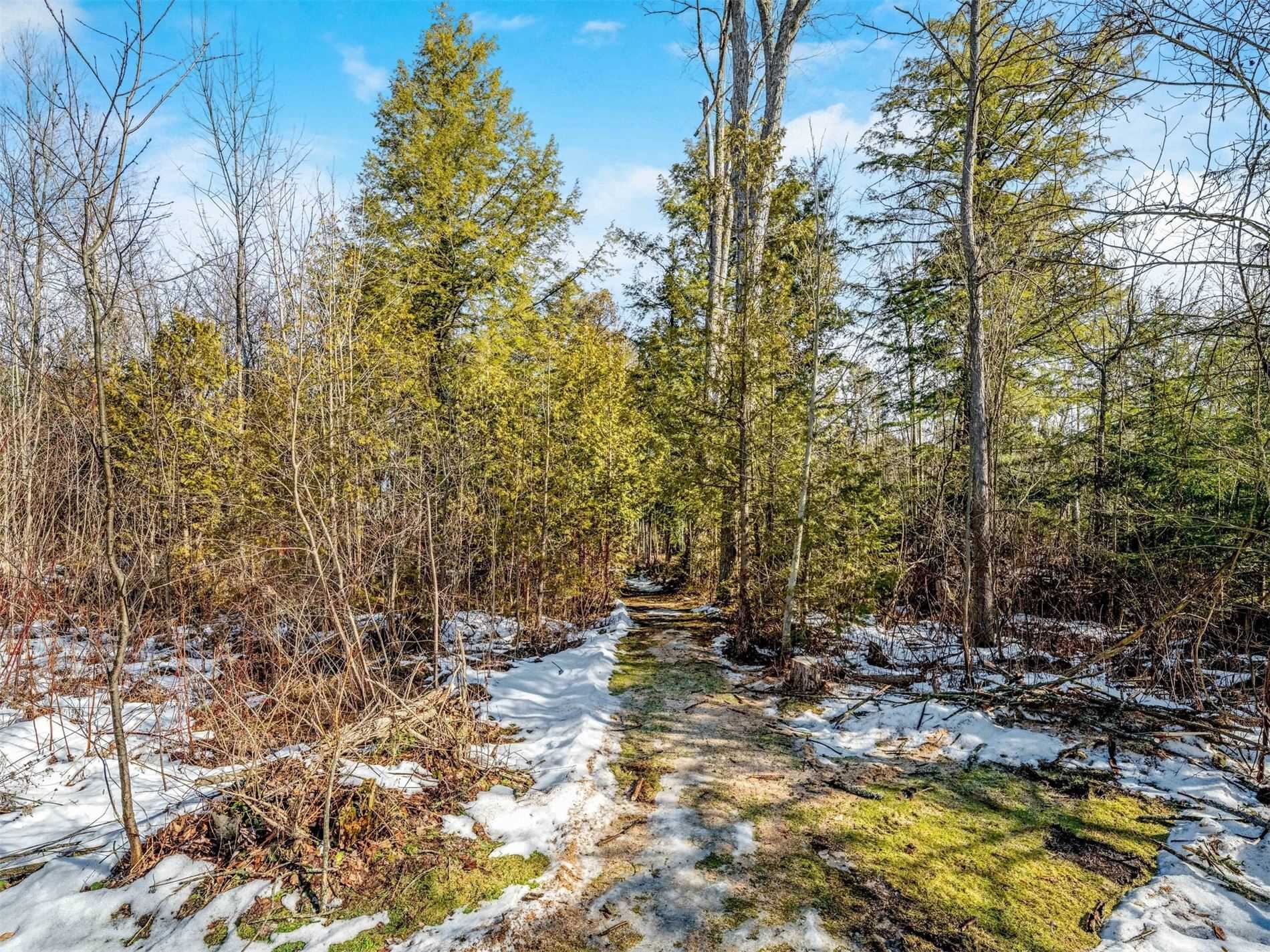 Listing W5913731 - Large Photo # 38