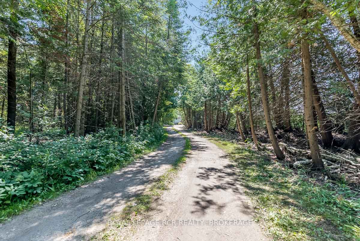 Listing W5915113 - Large Photo # 31