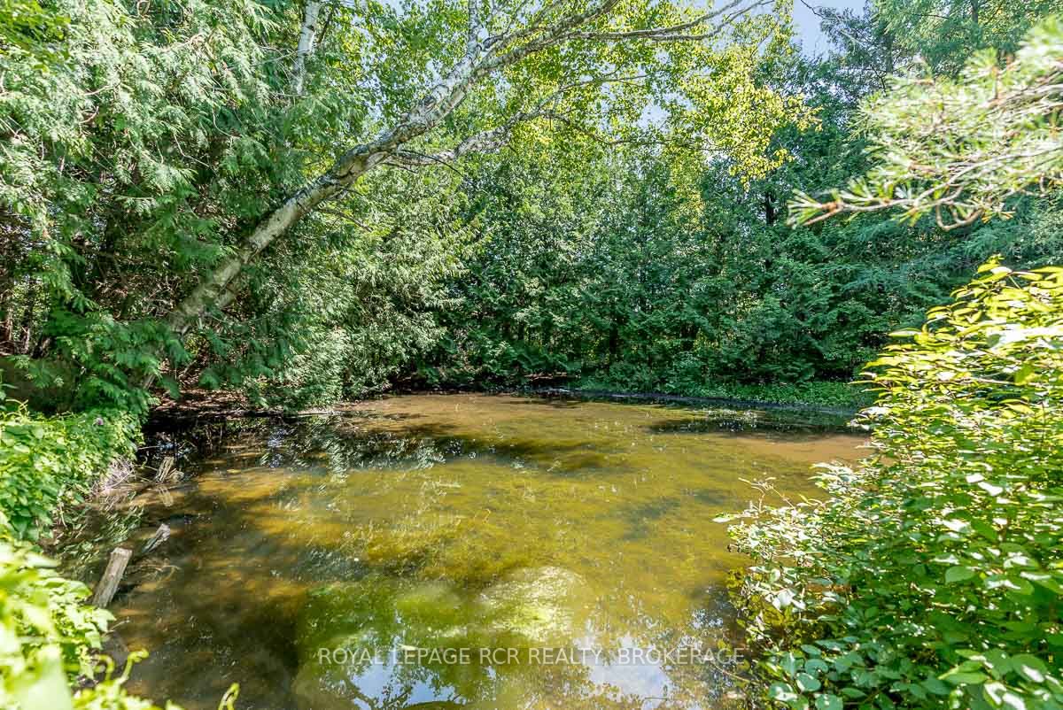 Listing W5915113 - Large Photo # 32