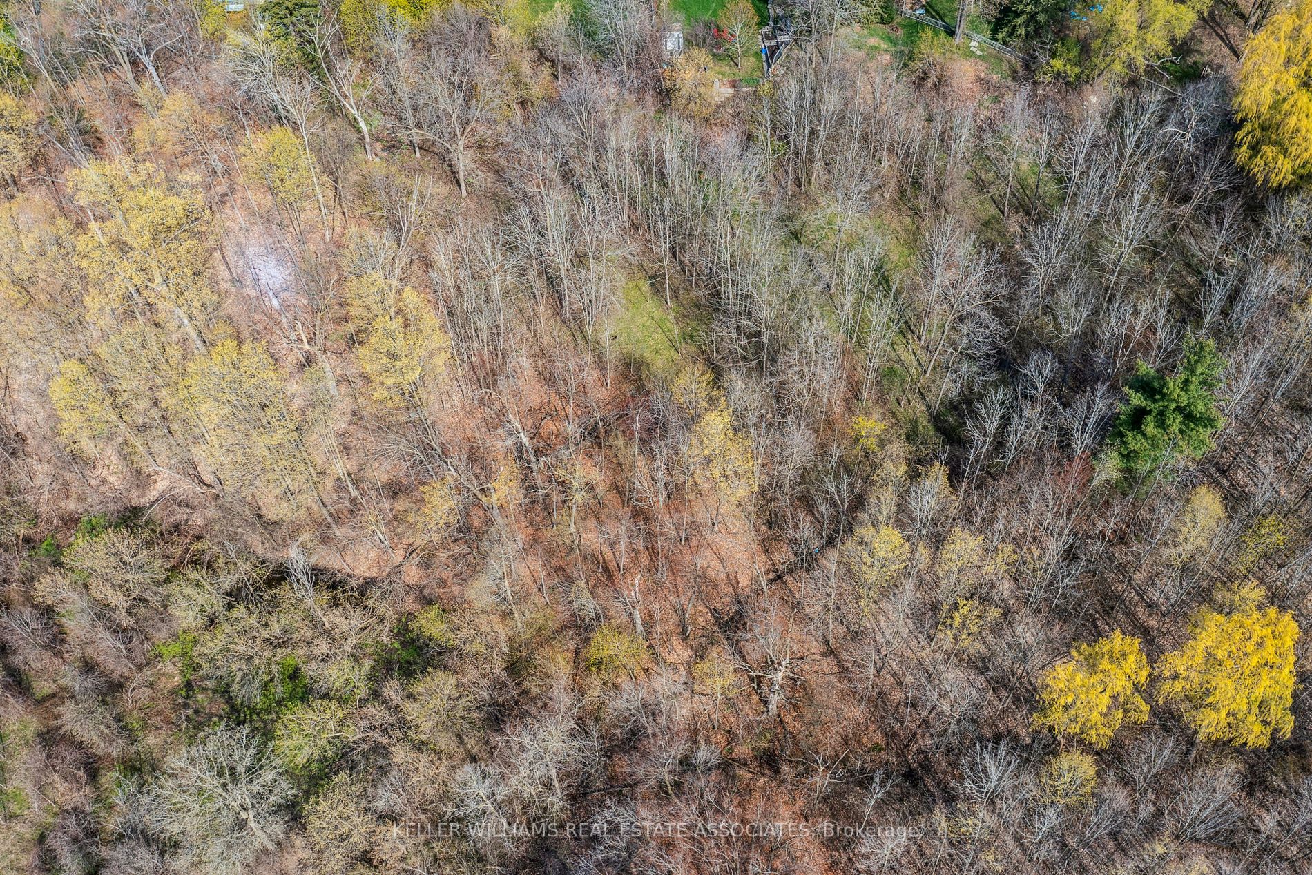Listing W5917512 - Large Photo # 20