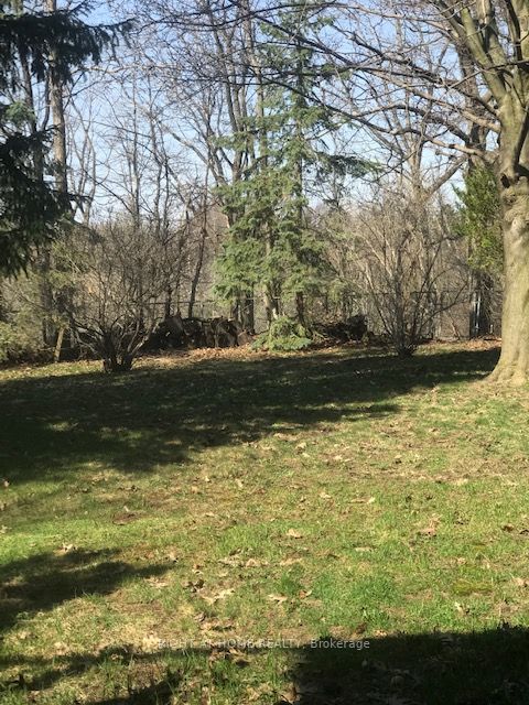 Listing W5918836 - Large Photo # 3