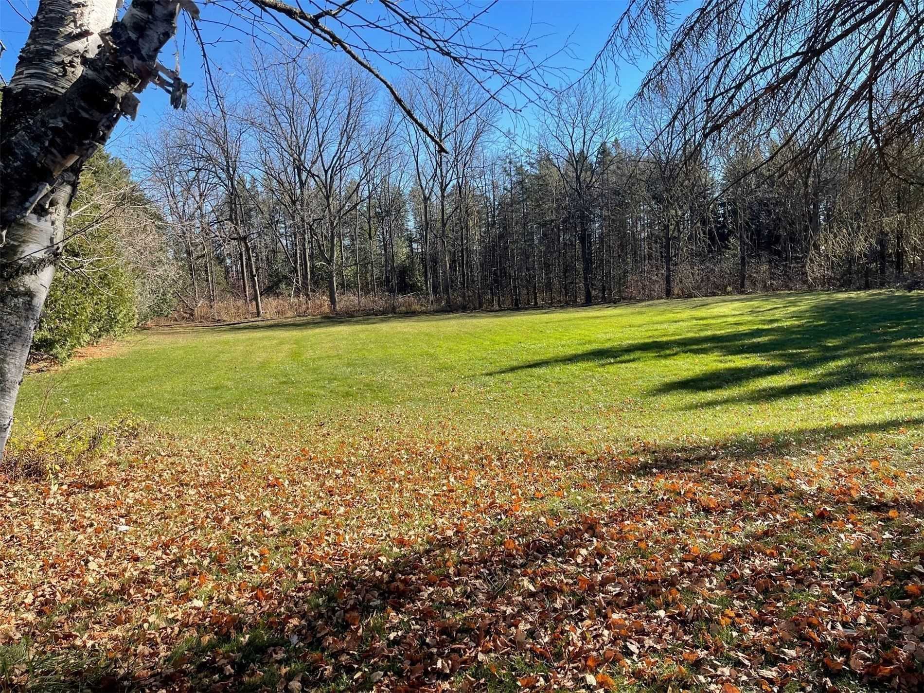 Listing W5922869 - Large Photo # 4