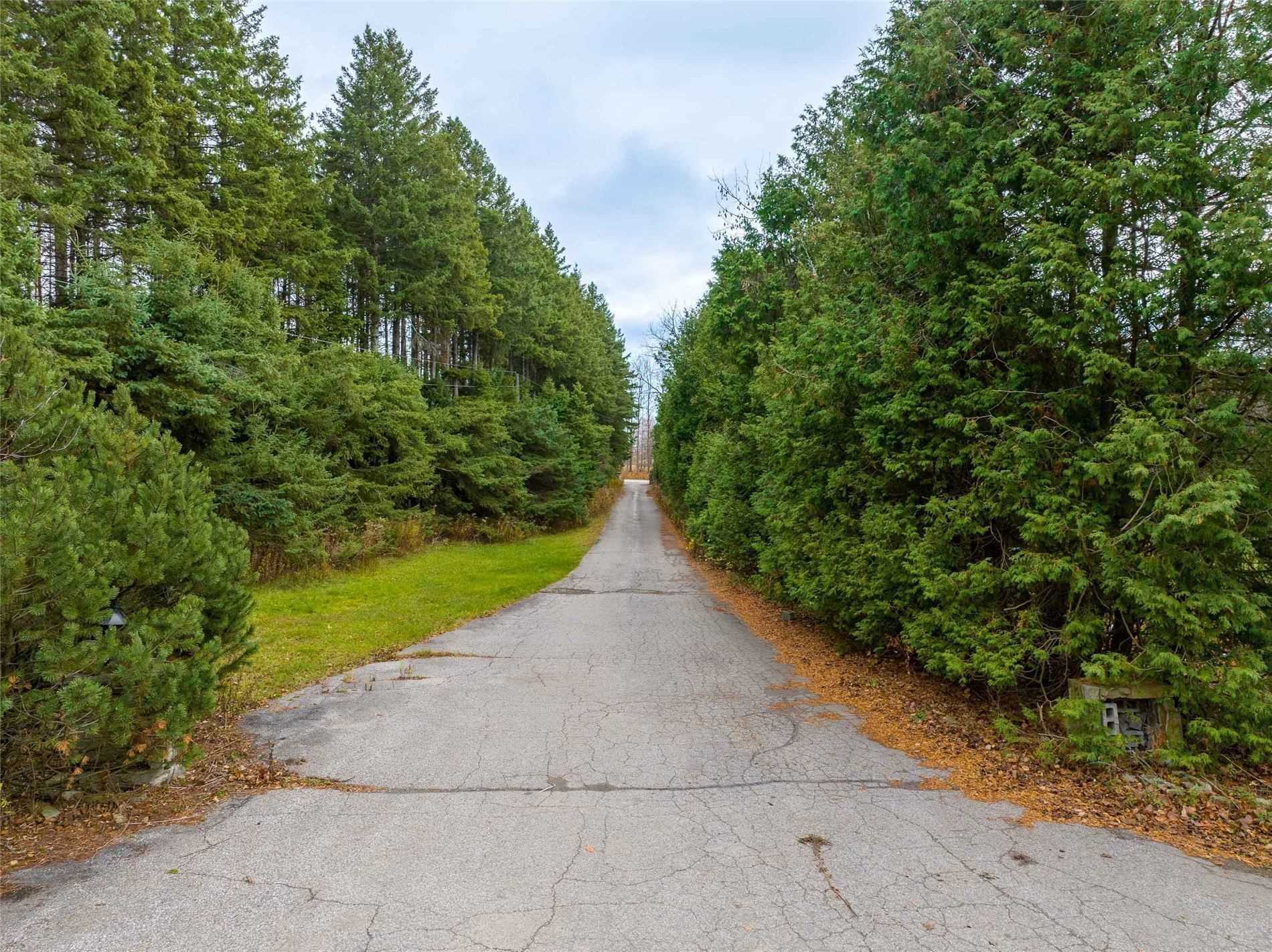 Listing W5922869 - Large Photo # 11