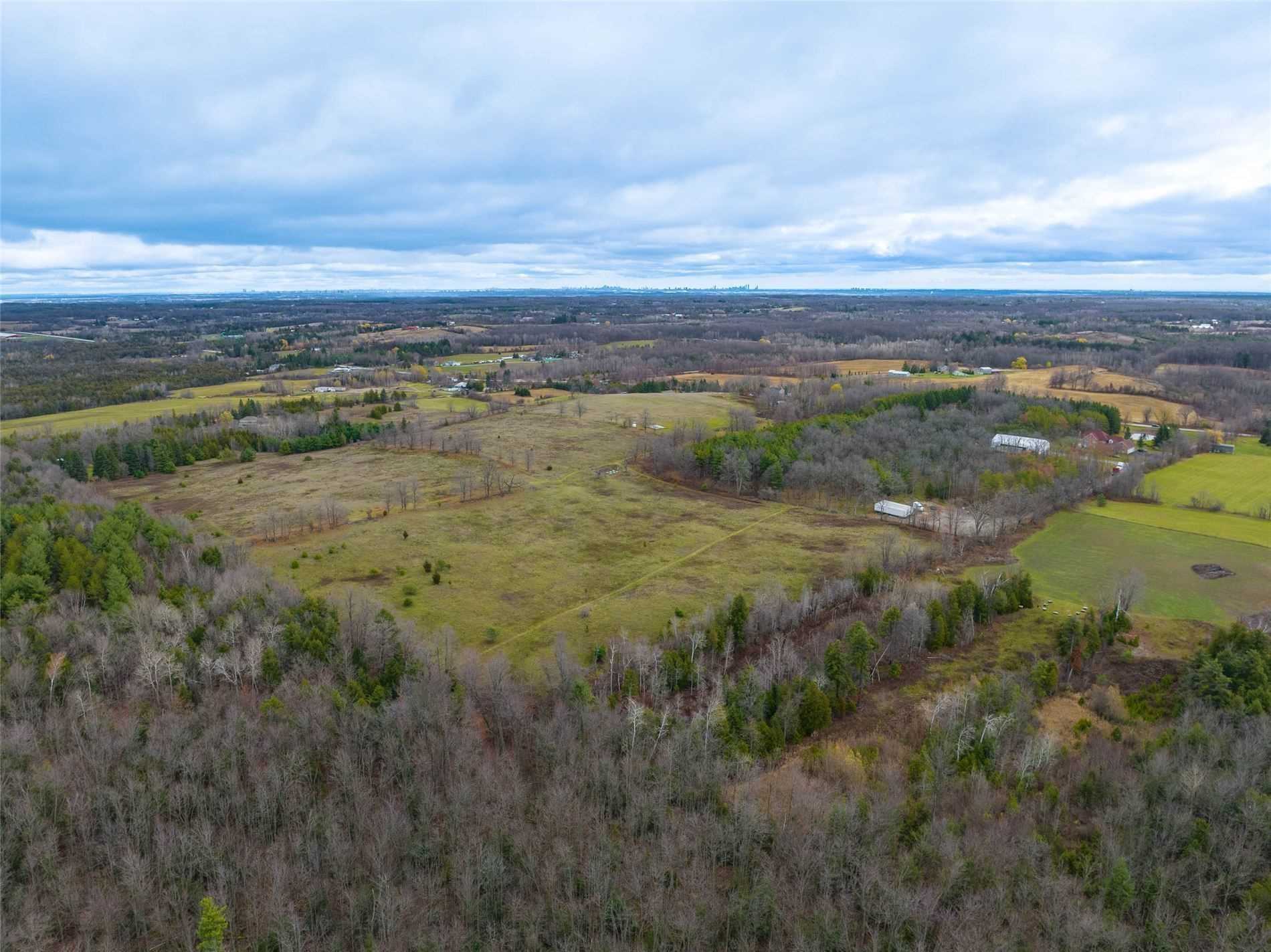 Listing W5922869 - Large Photo # 19