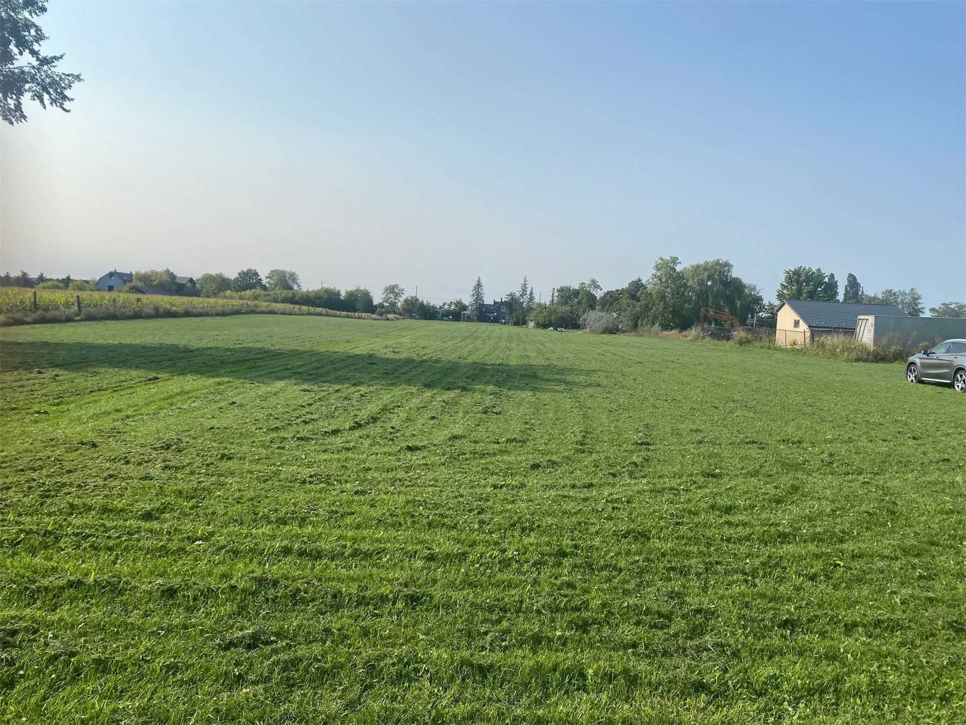 Listing W5923681 - Large Photo # 5
