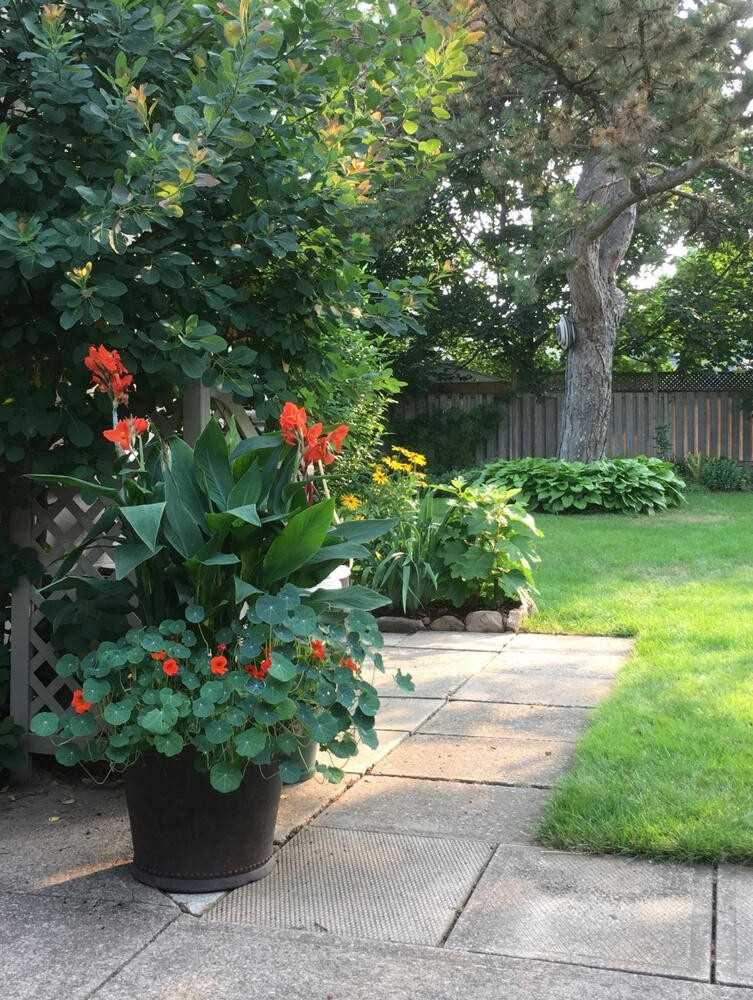 Listing W5924371 - Large Photo # 35