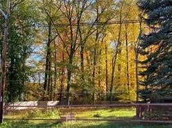 Listing W5925211 - Large Photo # 1