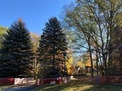 Listing W5925631 - Large Photo # 4