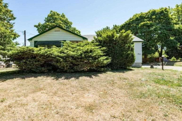 71 Thomas St, Mississauga
