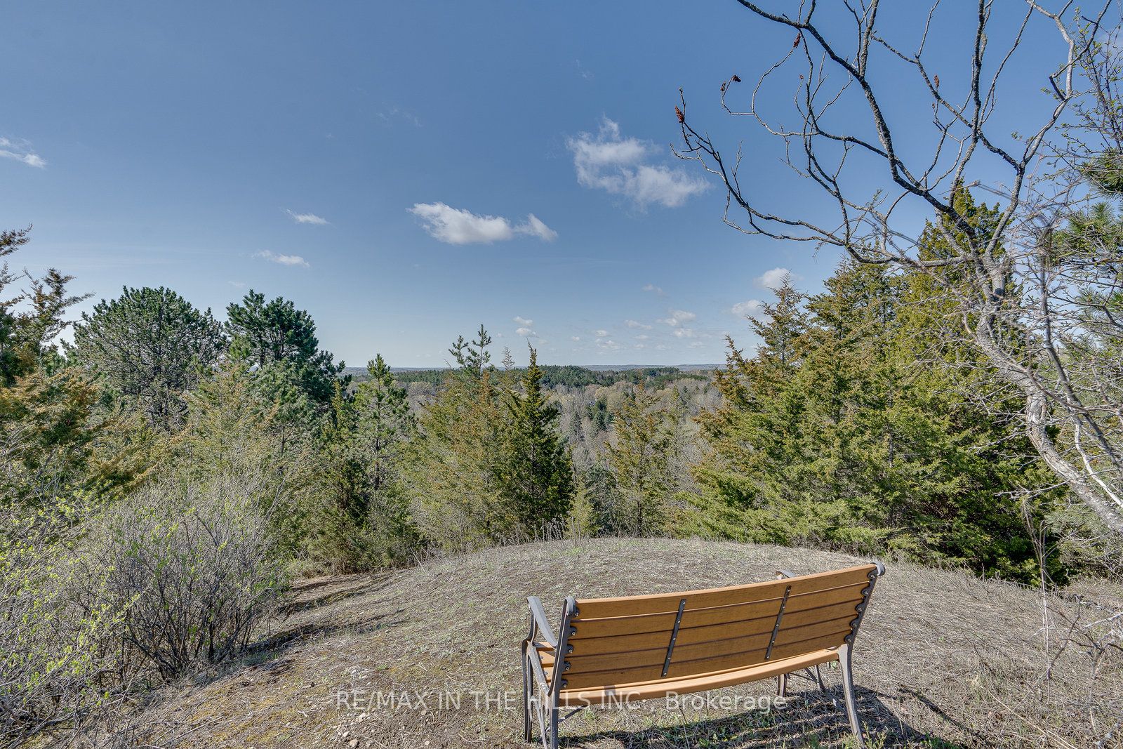 Listing W5931280 - Large Photo # 10