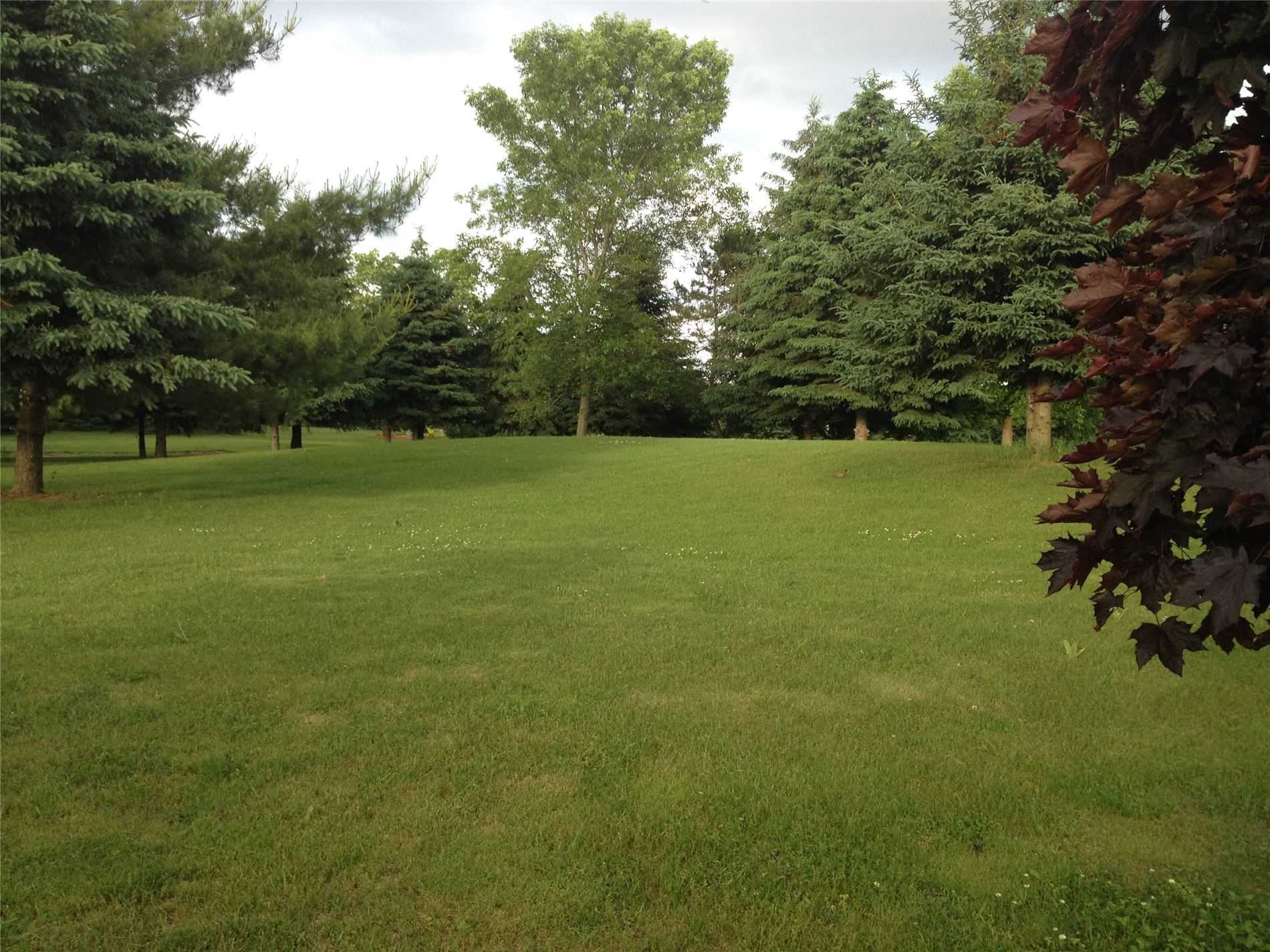 Listing W5935821 - Large Photo # 39