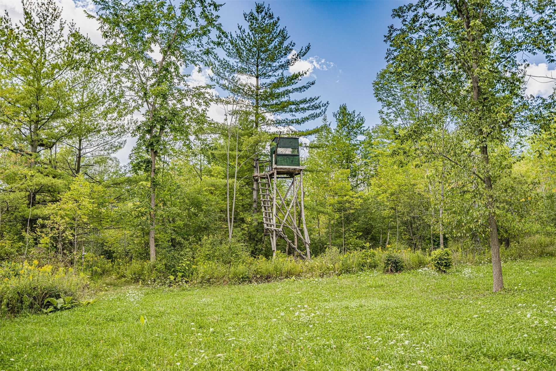 Listing W5938653 - Large Photo # 5