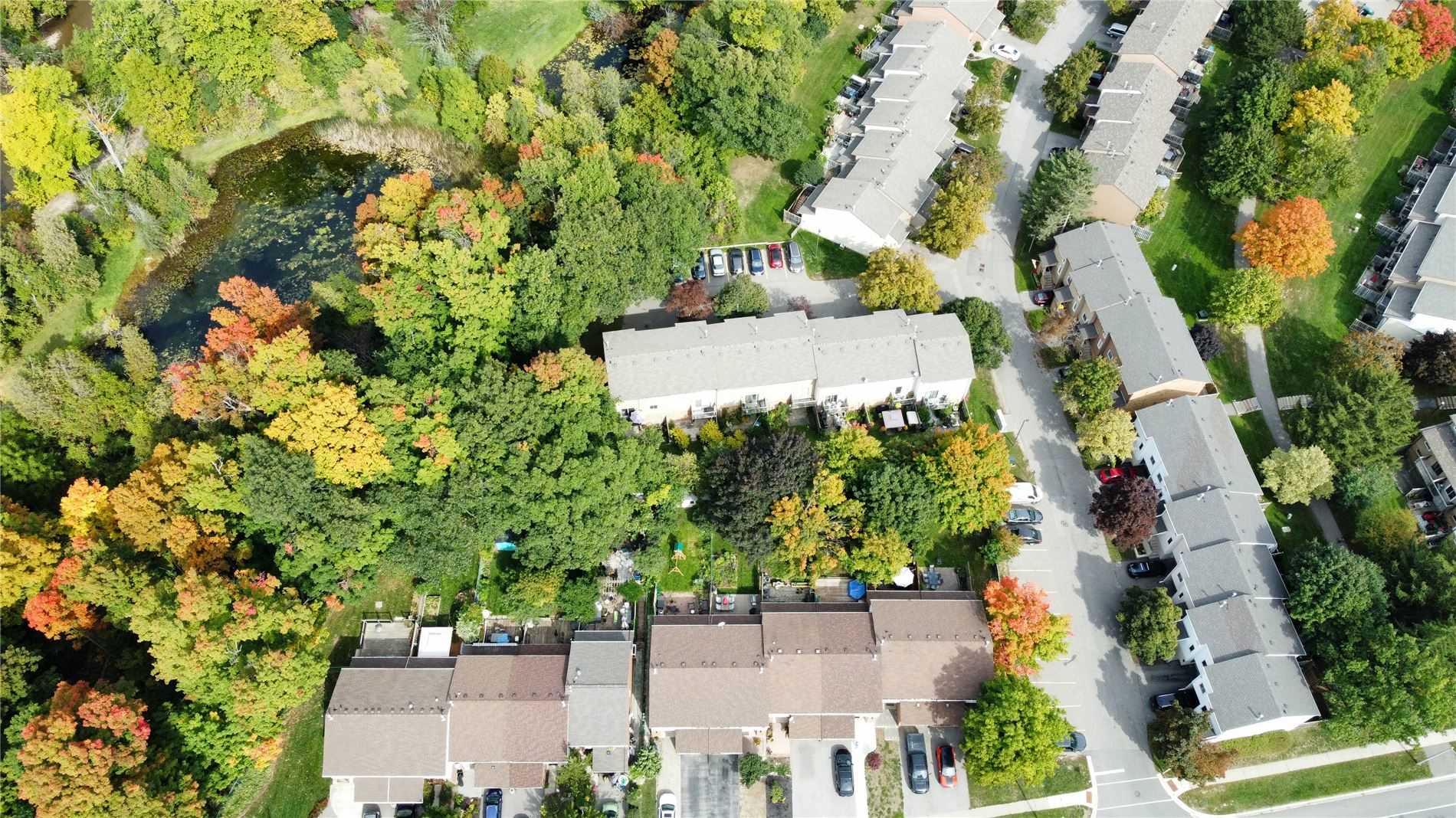 Listing W5941105 - Large Photo # 14