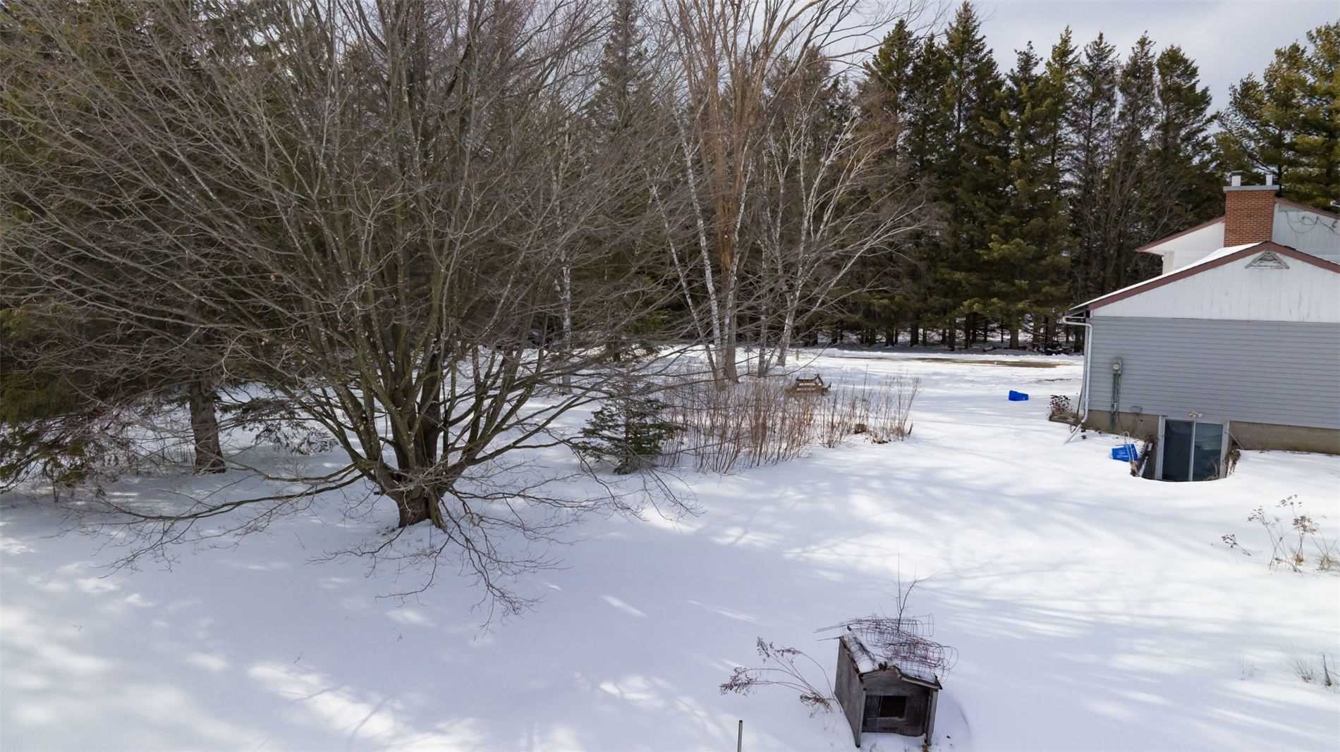 Listing W5941469 - Large Photo # 15