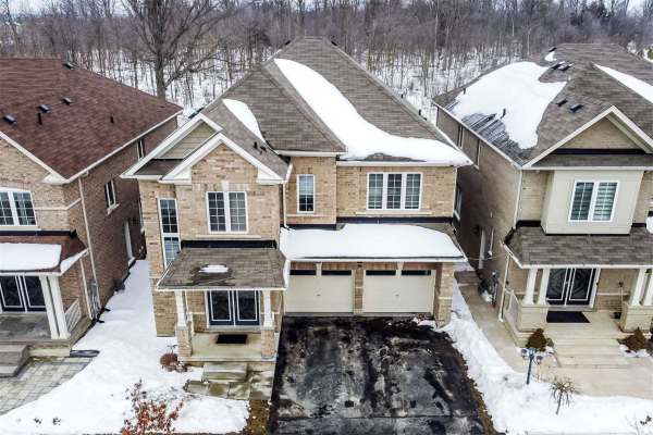 20 Iguana Tr, Brampton