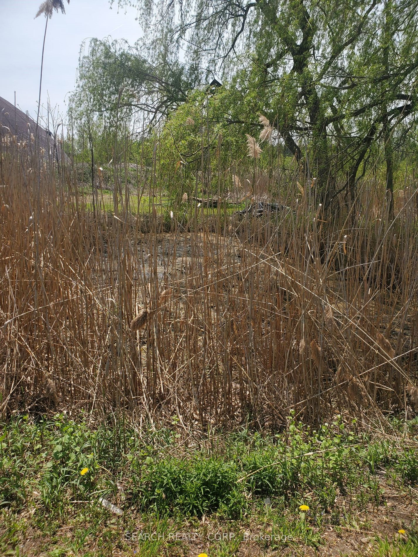 Listing W5943760 - Large Photo # 17
