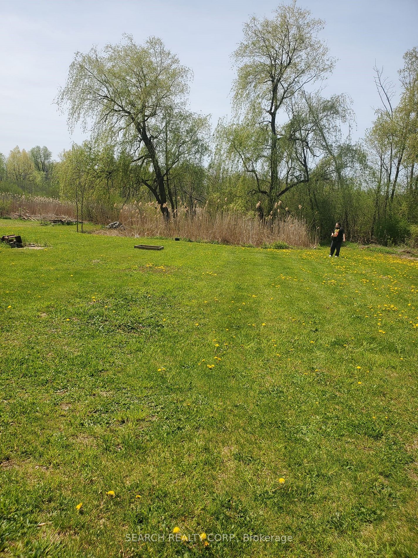 Listing W5943768 - Large Photo # 8