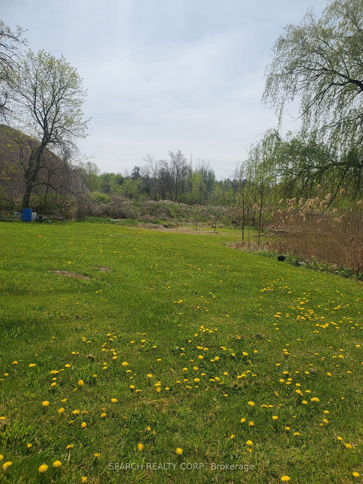 Listing W5943768 - Large Photo # 11