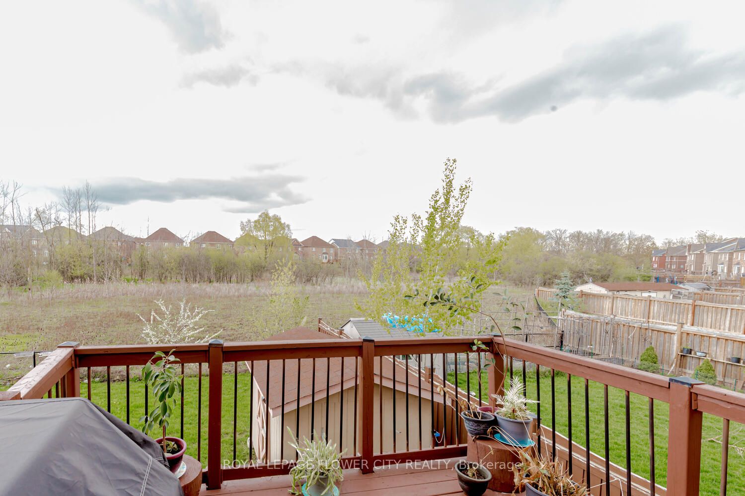 21 Borrelli Dr